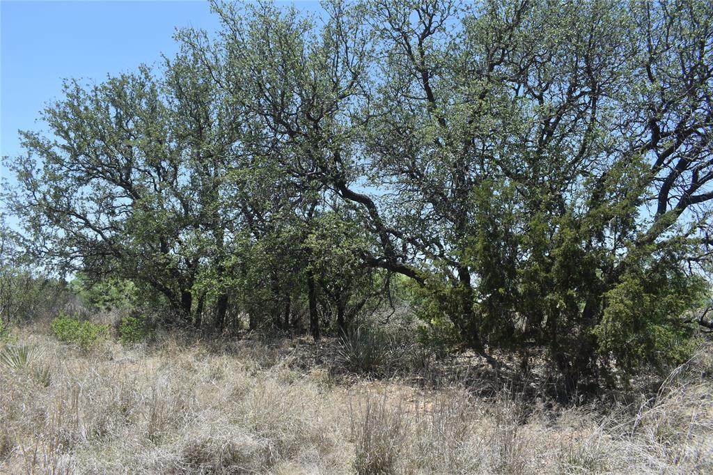 20+/- Acres Off Fm 765 & Cr 300 - Photo 1