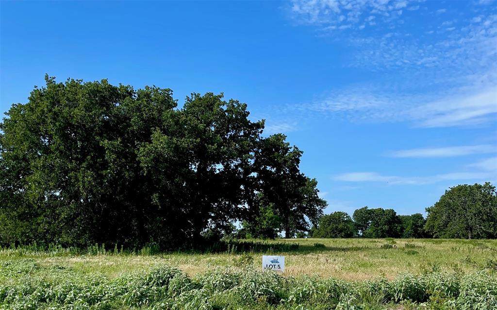 TBD Blackjack Parkway - Photo 1