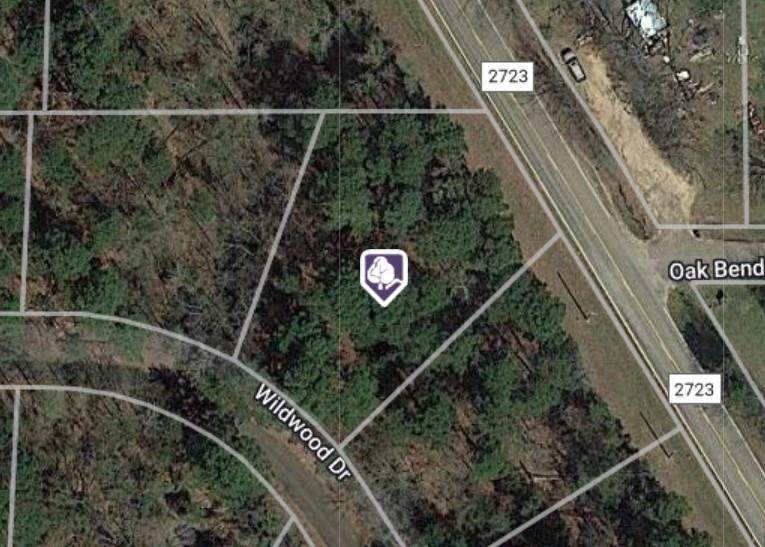 Lot 27 Wildwood Trail - Photo 1