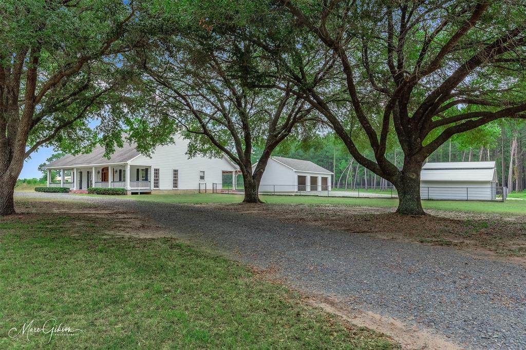 293 Ward Palmer Road - Photo 1