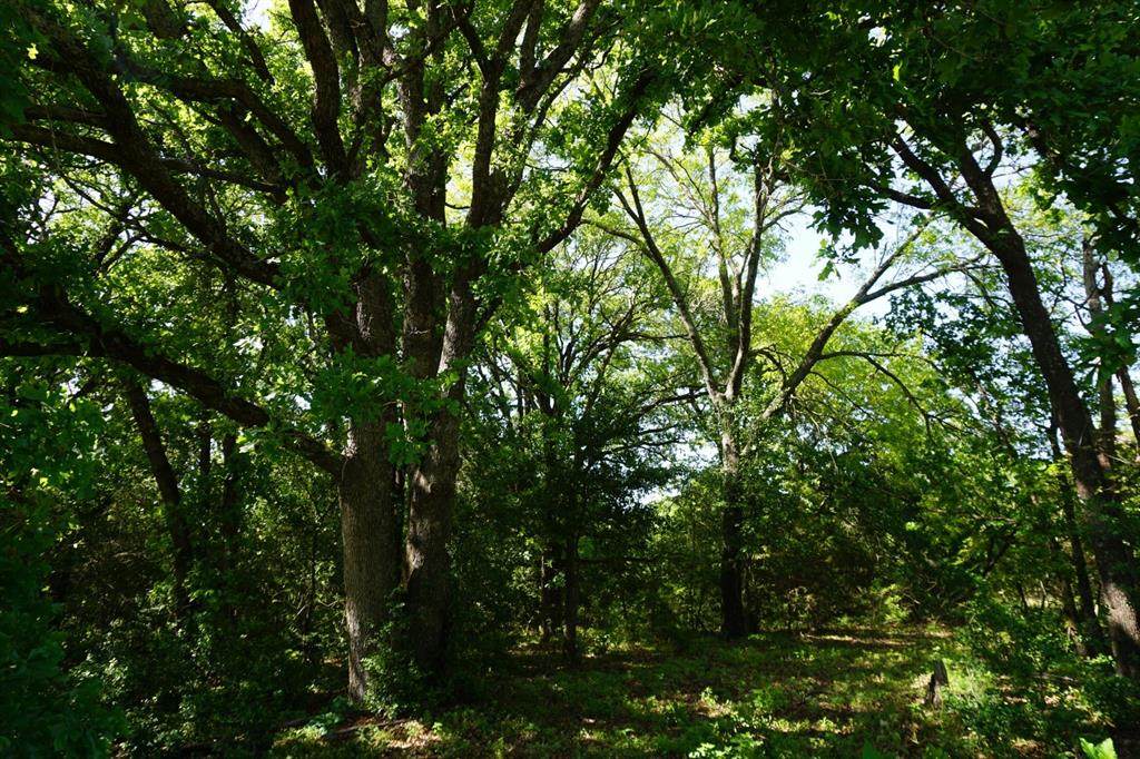 01 County Road 4705 - Photo 1