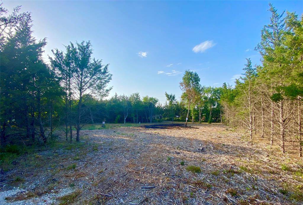 TBD Jack Harris Lane - Photo 1