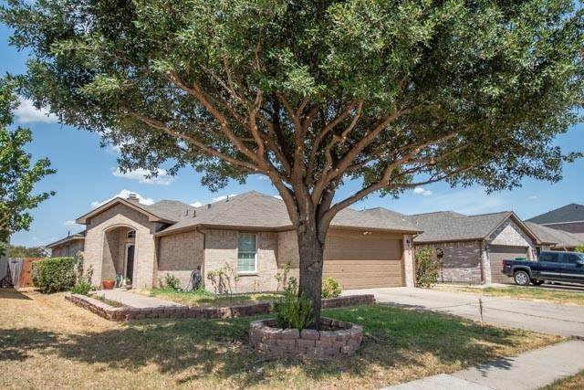 1032 Castille Drive - Photo 1