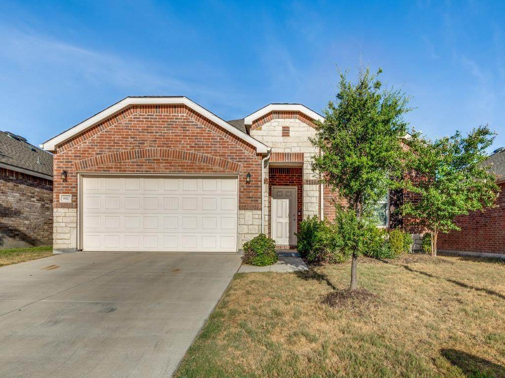 9917 Amosite Drive - Photo 1