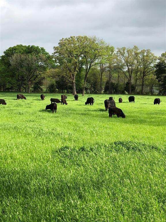 TBD Vz County Ro 3421 - Photo 1