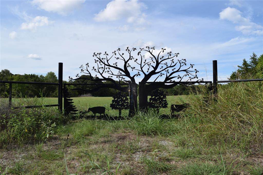 775 County Road 1300 - Photo 1
