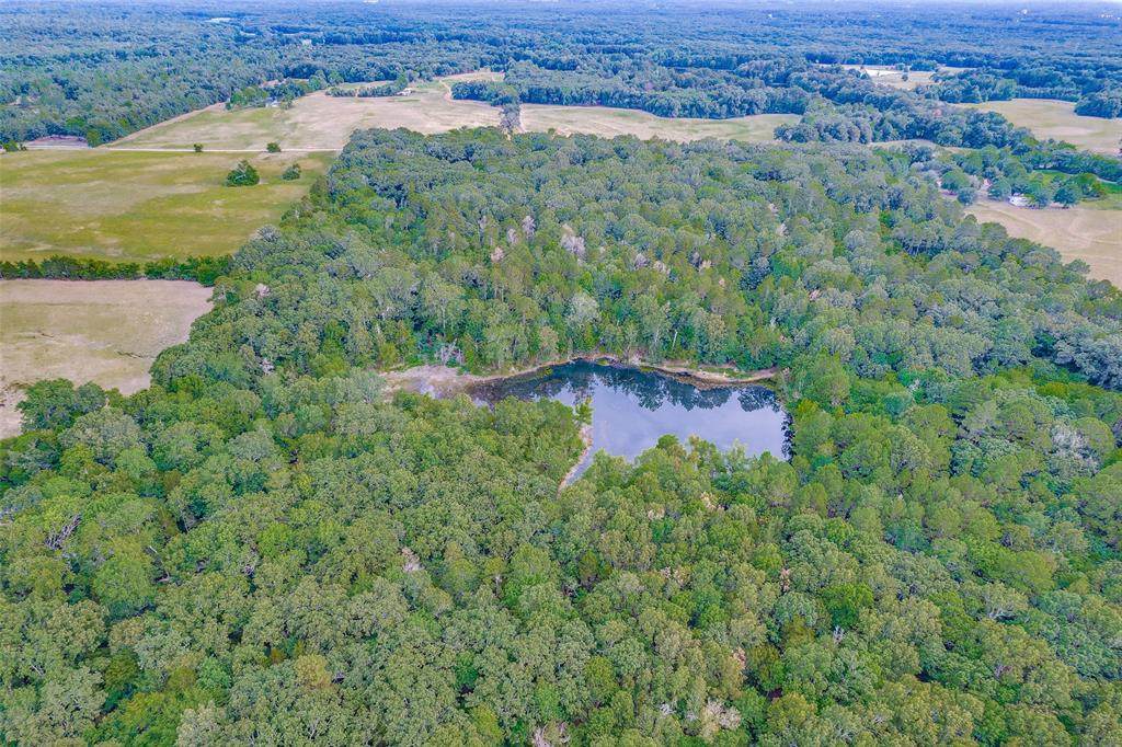 0 County Rd 4550 - Photo 1