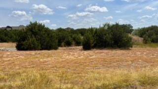 7055 Heathington - Photo 1