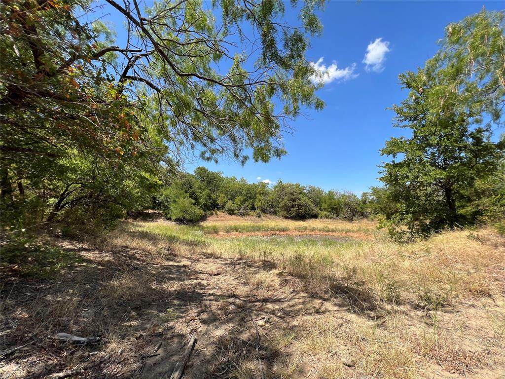 TBD St Hwy 31 - Photo 1