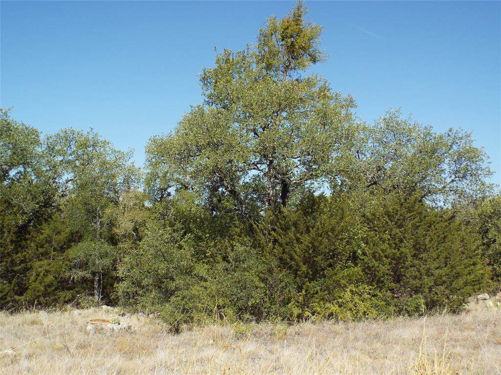 TBD Robert Parker Way - Photo 1