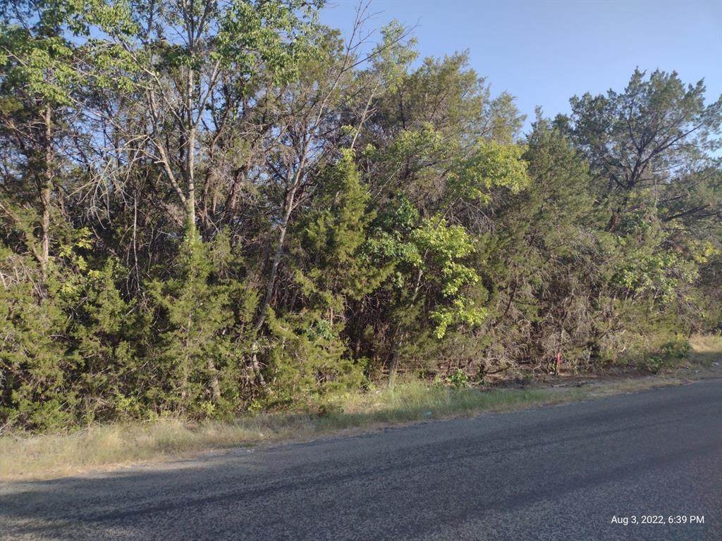 1011 Comanche Cove Drive - Photo 1