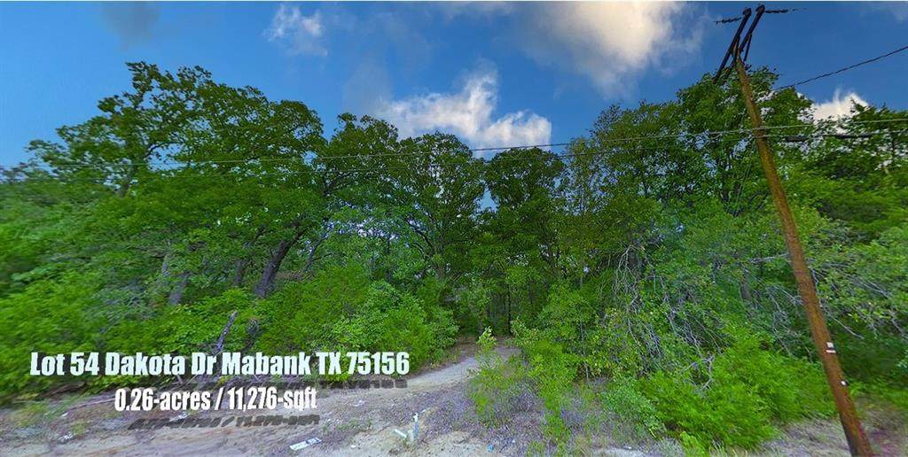 Lot 54 Dakota Drive - Photo 1