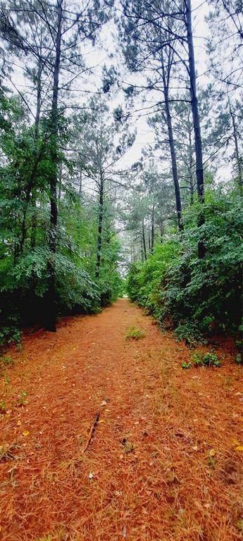 1595 County Rd 3405 - Photo 1