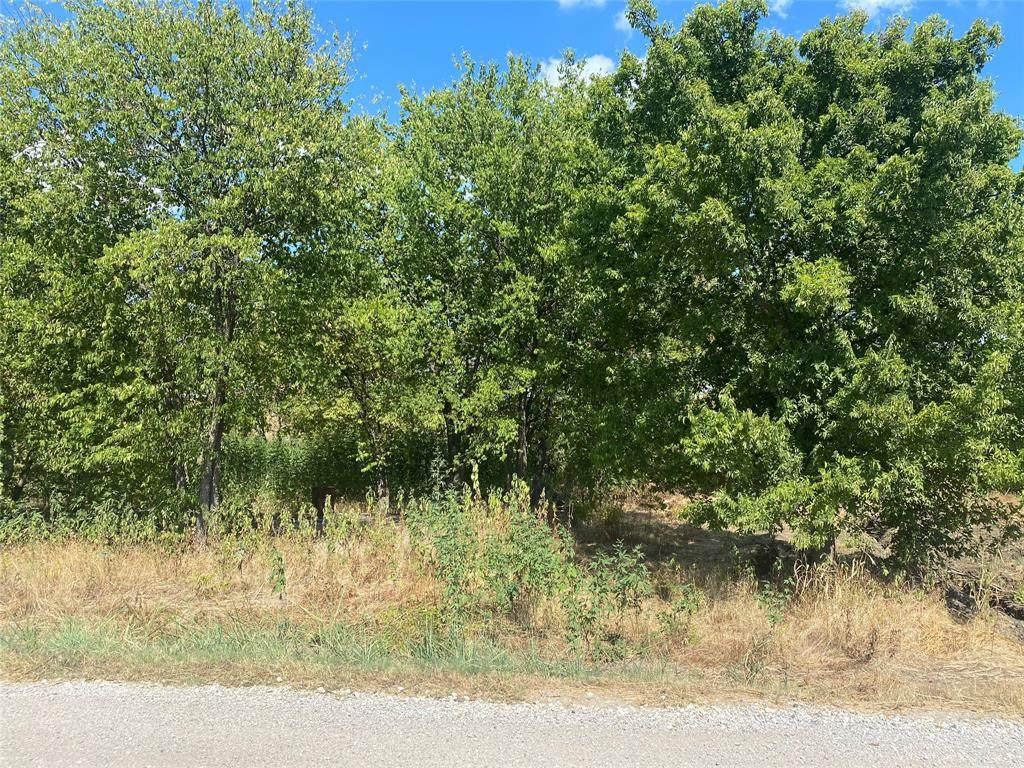 TBD Conti Drive - Photo 1