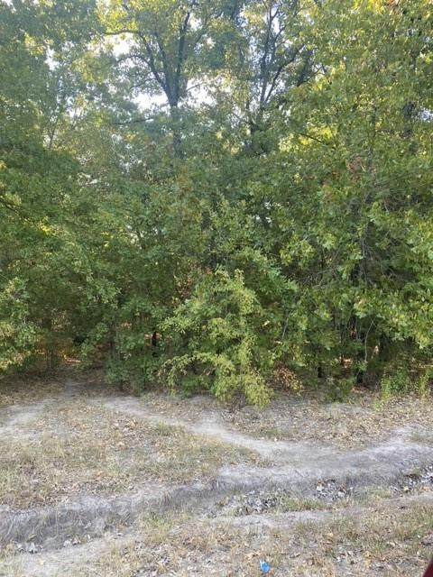 179 Huntoon Trail - Photo 1