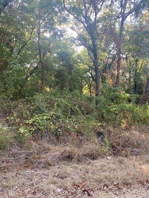 250 Geronimo Trail - Photo 1