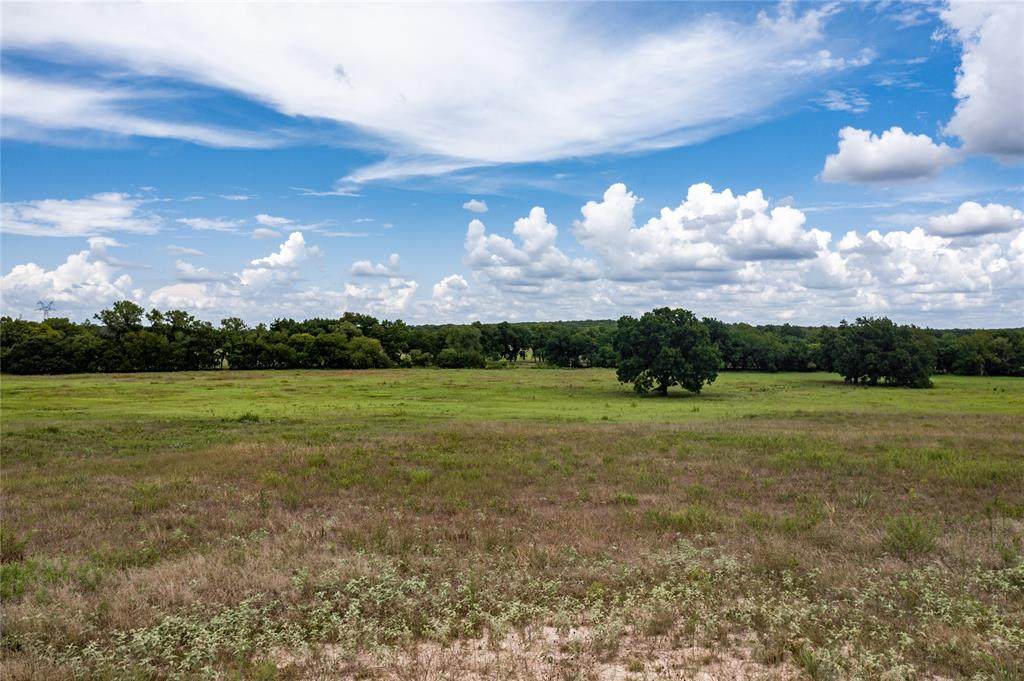 255 Rolling Hills Boulevard - Photo 1