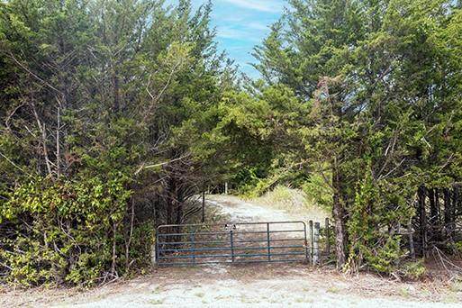 10099 County Road 505 - Photo 1