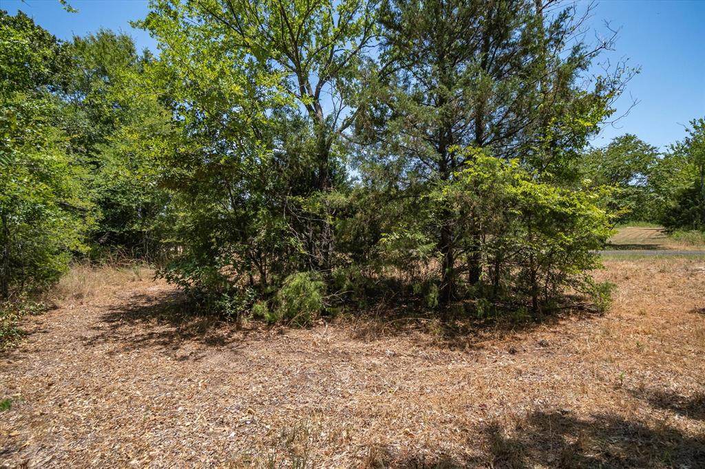 TBD Vzcr 1524 Tract 12 - Photo 1