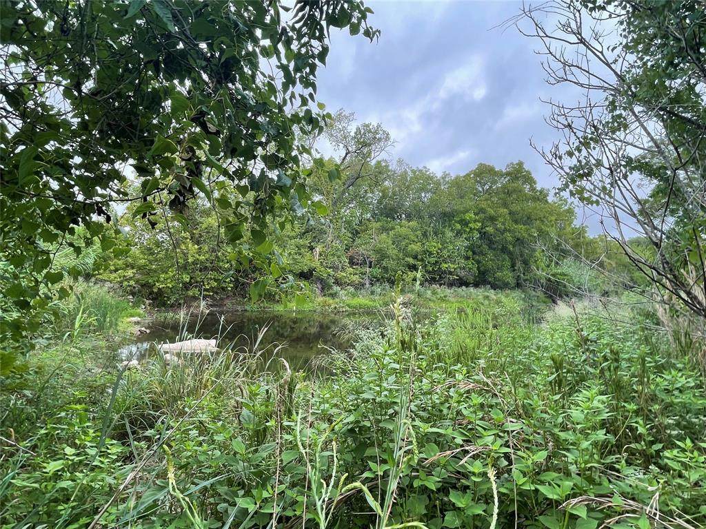 1612 White Bluff Drive - Photo 1