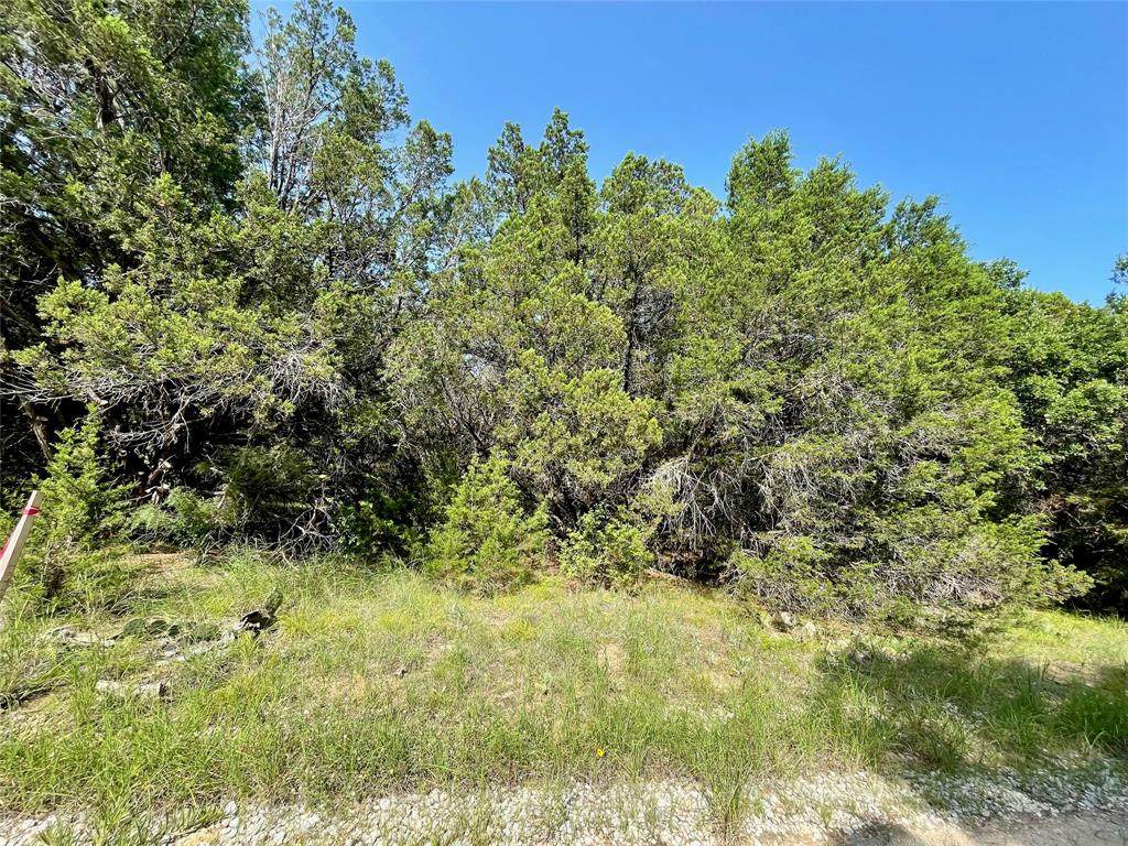 LOT 19 Lacy Road - Photo 1