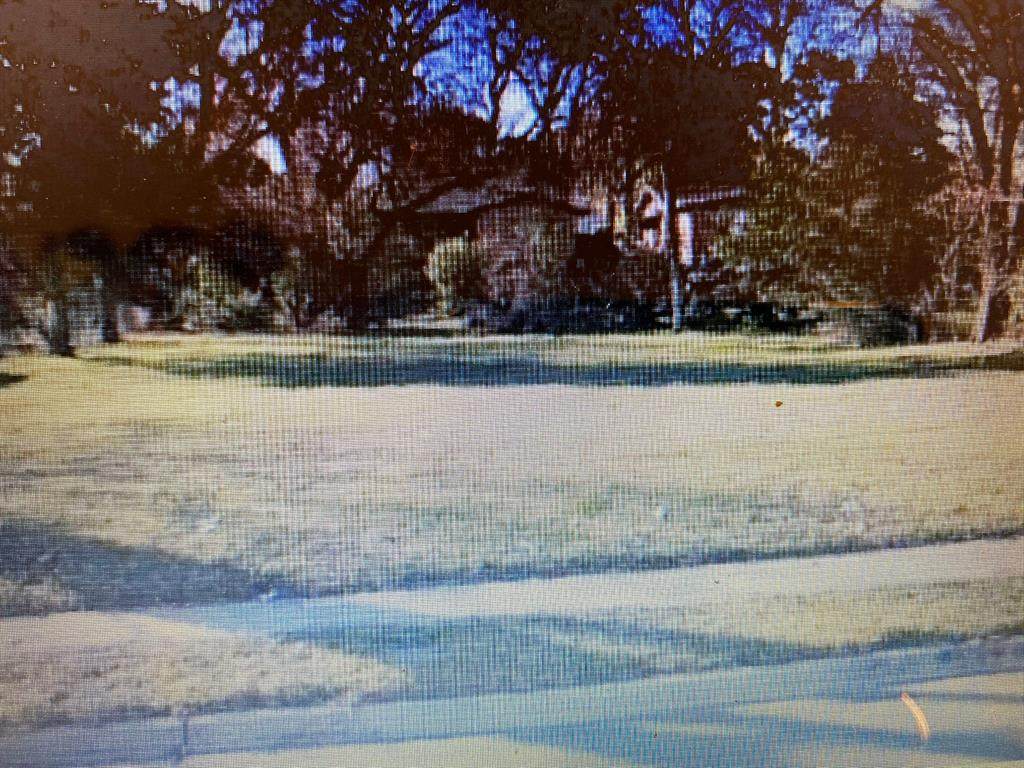 4103 Marsalis Avenue - Photo 1