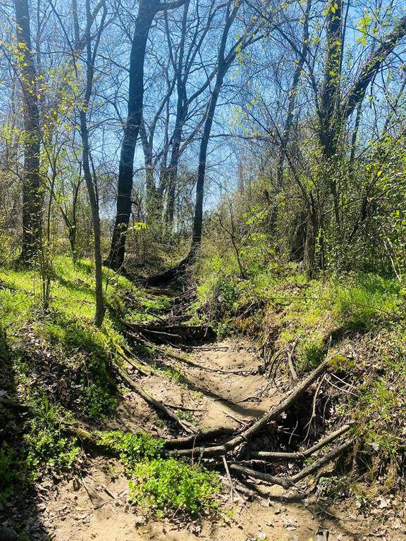 2484 Fm 269 South - Photo 1