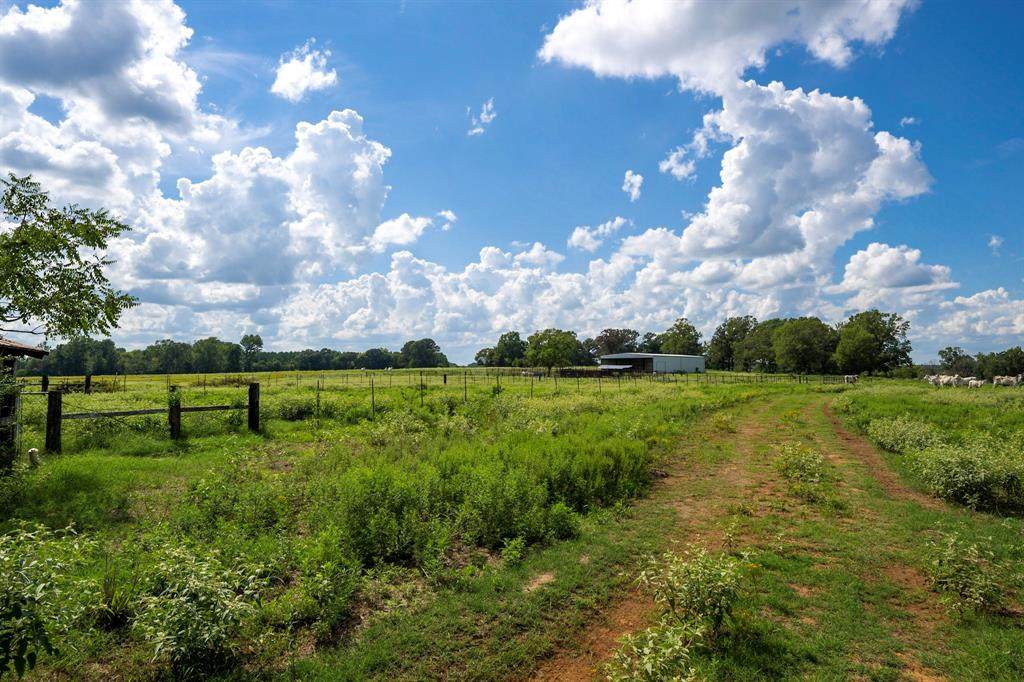 TBD Hwy 79 - Photo 1