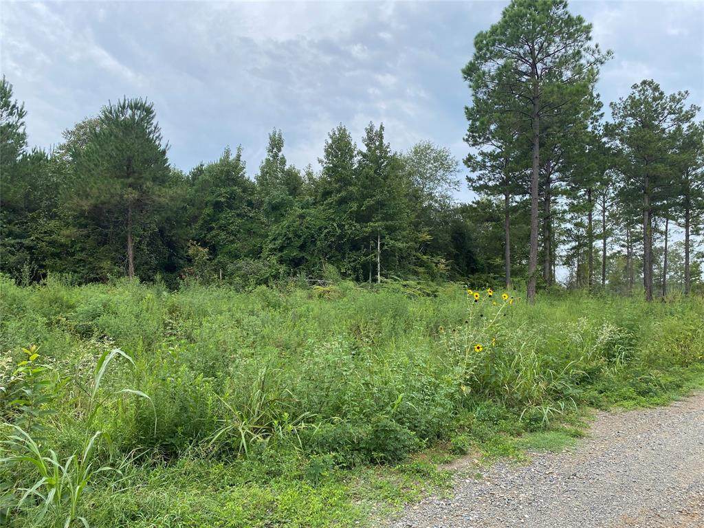 LOT 25 Cottonwood Private Drive - Photo 1