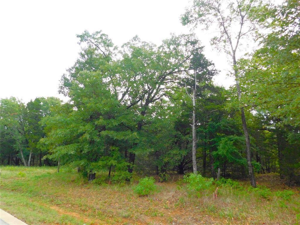 Lot 46 Palmilla Drive - Photo 1