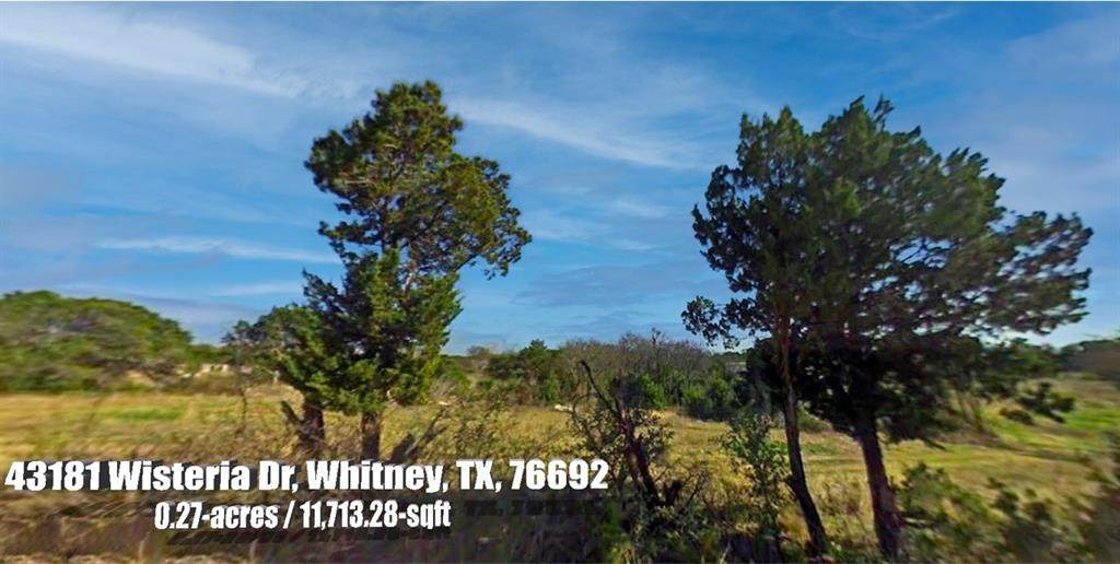 43181 Wisteria Drive - Photo 1