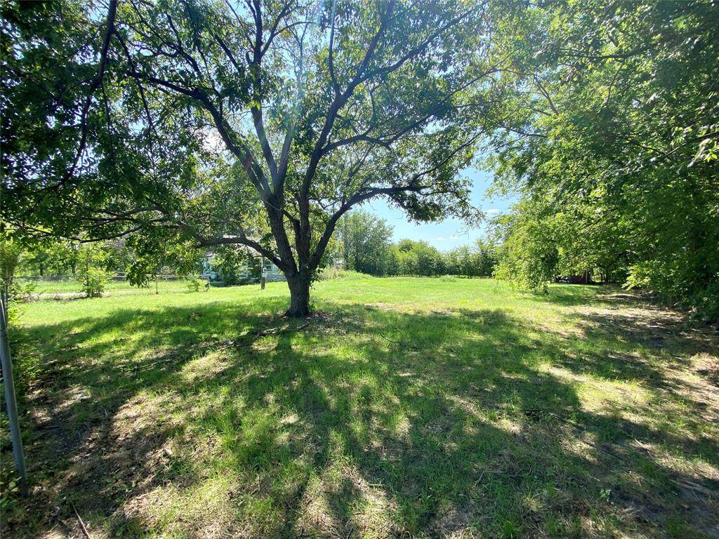 5529 County Road 2252 - Photo 1