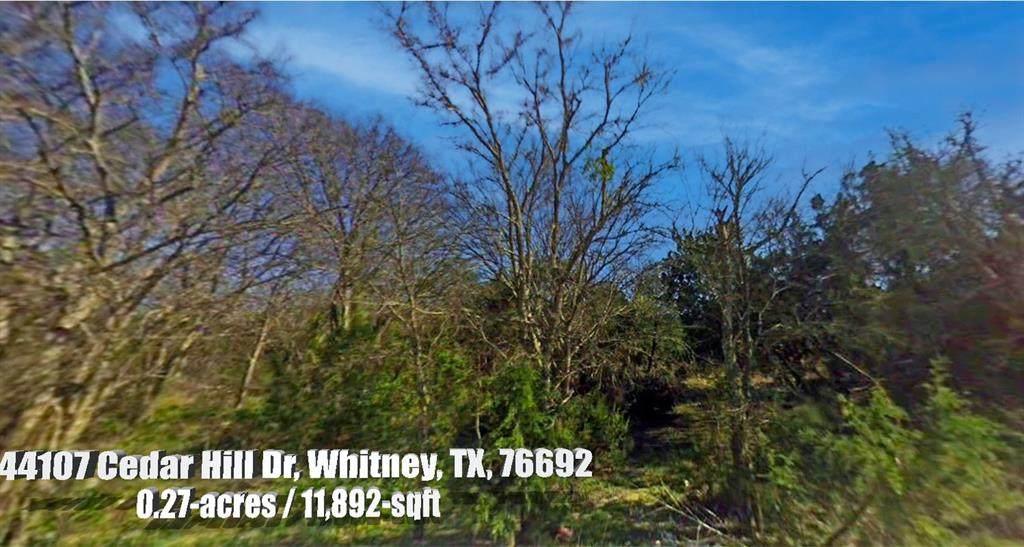 44107 Cedar Hill Drive - Photo 1