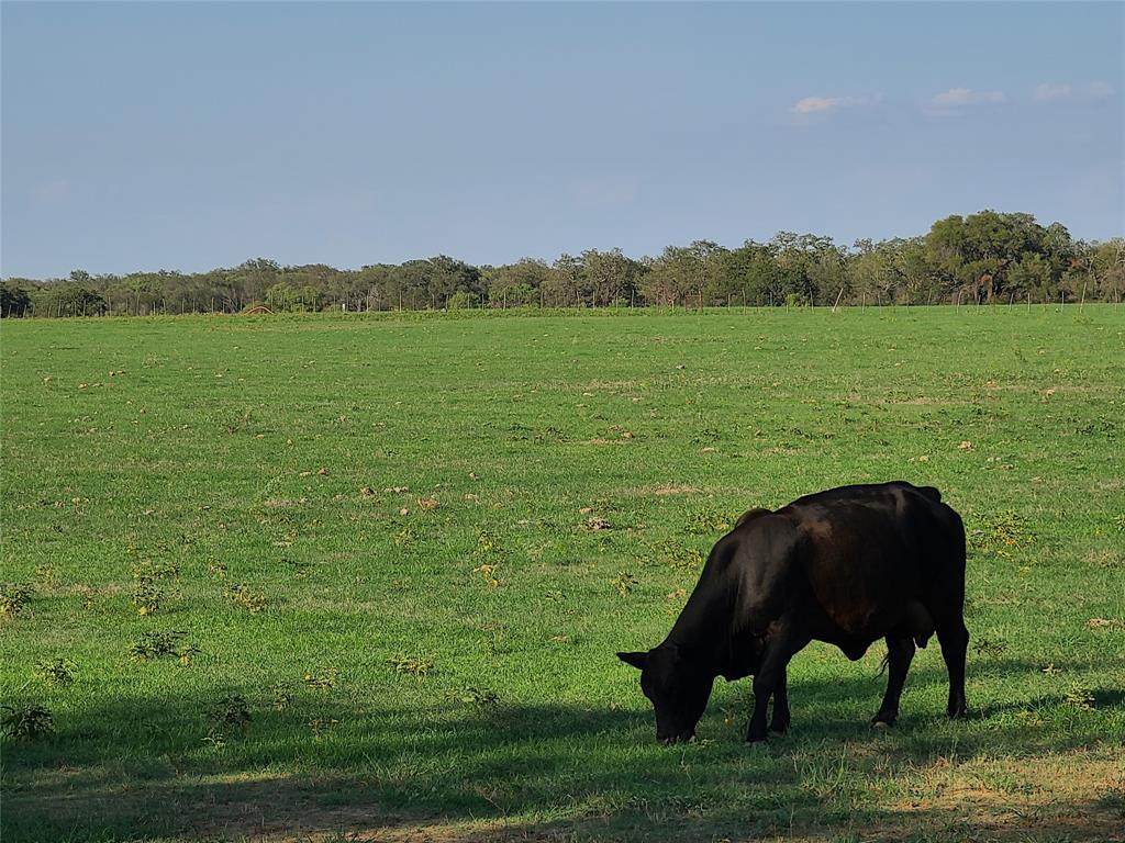 7600 Cr 136 - Photo 1