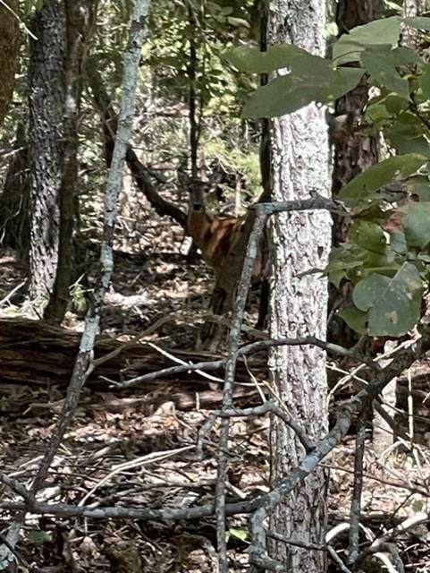 TBD Kings Country Scroggins - Photo 1
