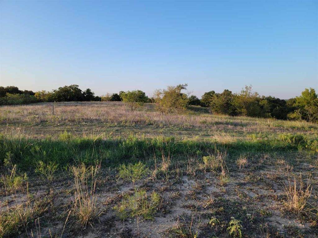 163 Pecan Grove Drive - Photo 1