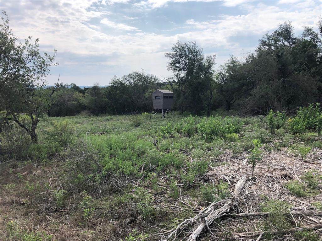 TBD Tract 2 Cr 175 - Photo 1