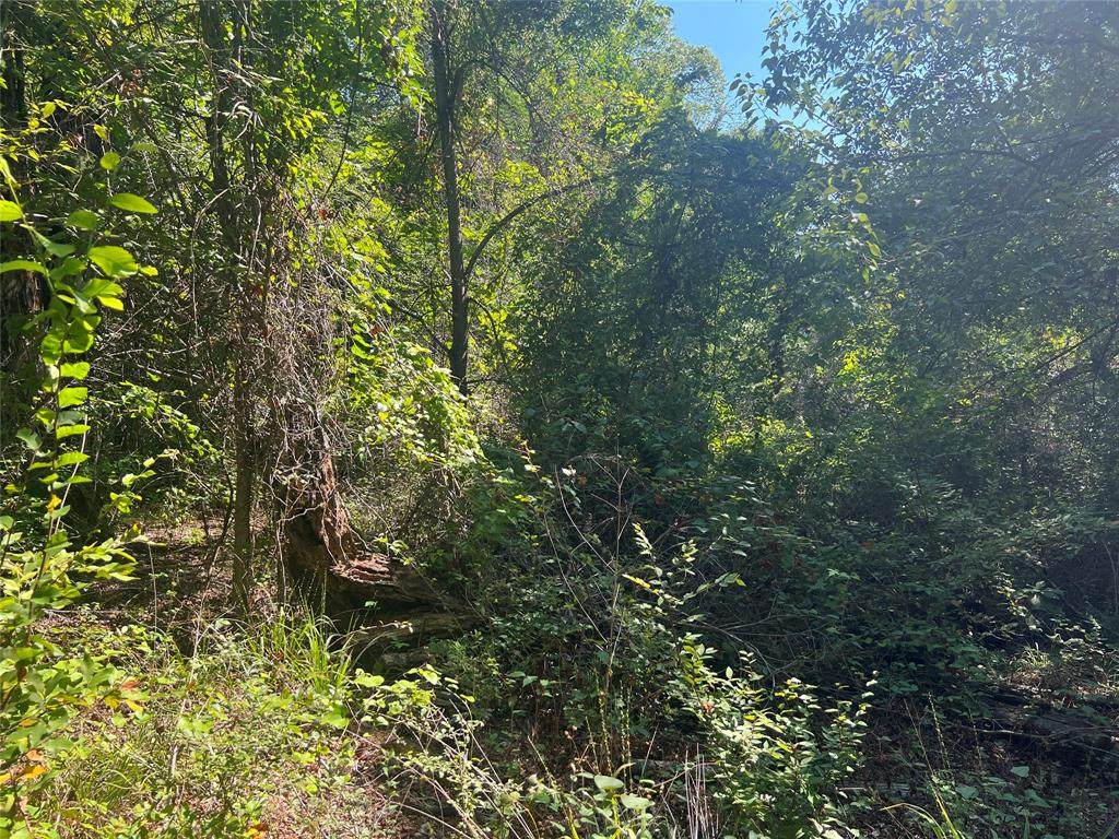 0 Westwood Drive - Photo 1