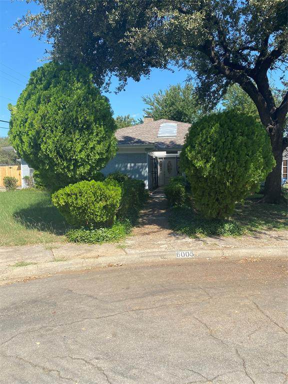 6005 Black Berry Drive - Photo 1