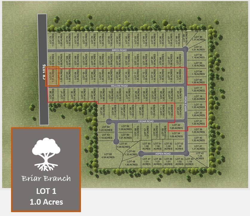 Lot 1 Willow Road - Photo 1