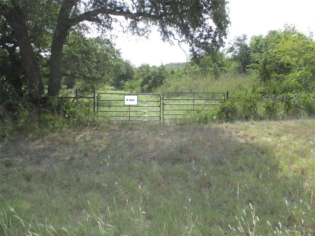 17 ac Hwy 16 - Photo 1
