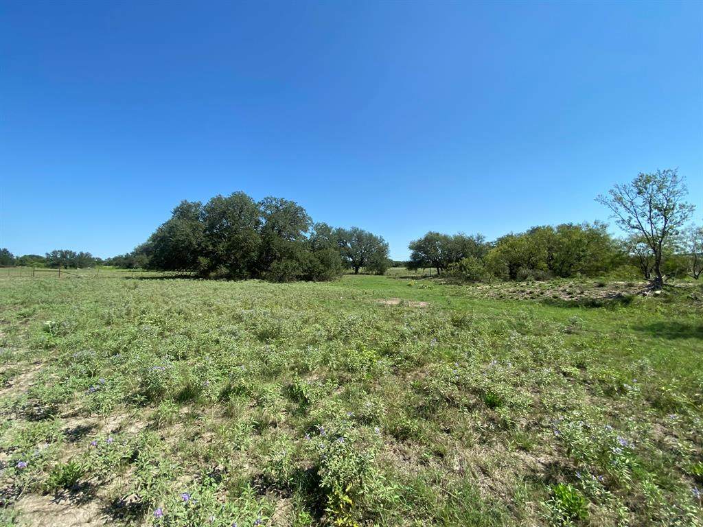 TBD State Highway 16 South - Photo 1