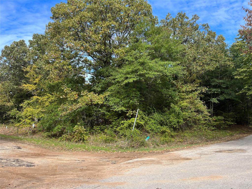 159 White Dove Trail - Photo 1