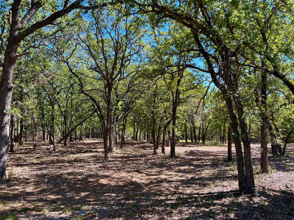 339 County Road 2485 - Photo 1