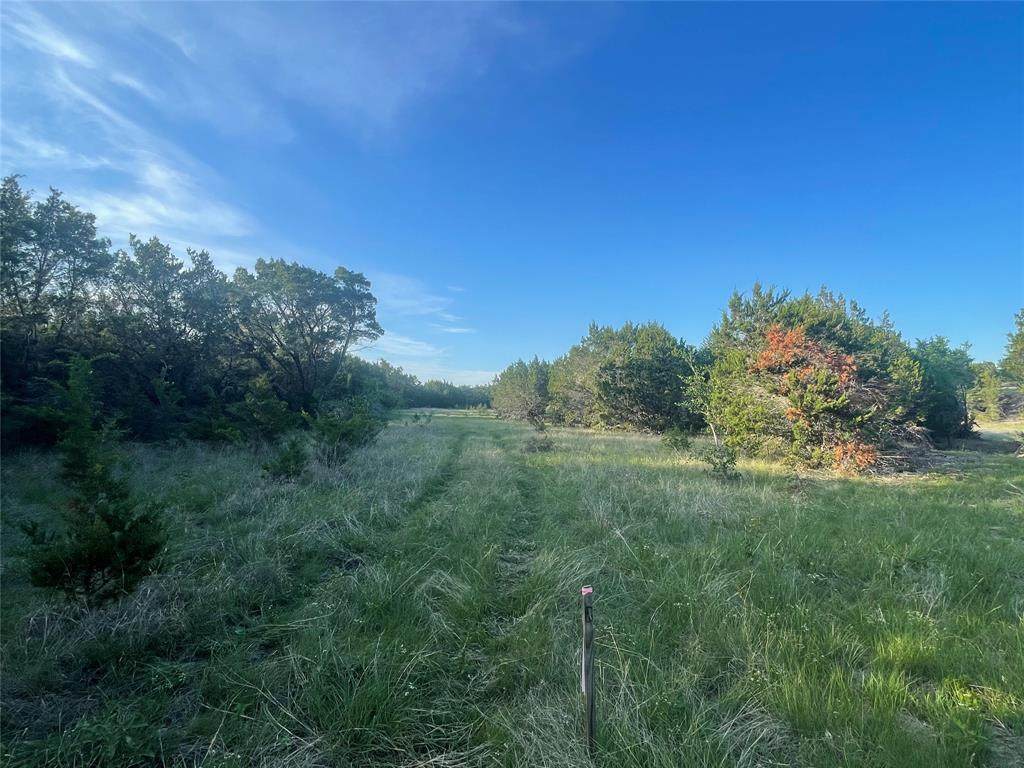 Lot 64 Fm 1602 - Photo 1