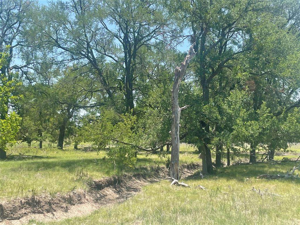 TBD East Fm 572 - Photo 1