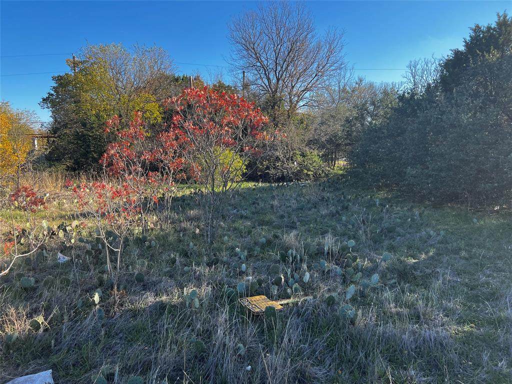 3019 Red Oak Drive - Photo 1