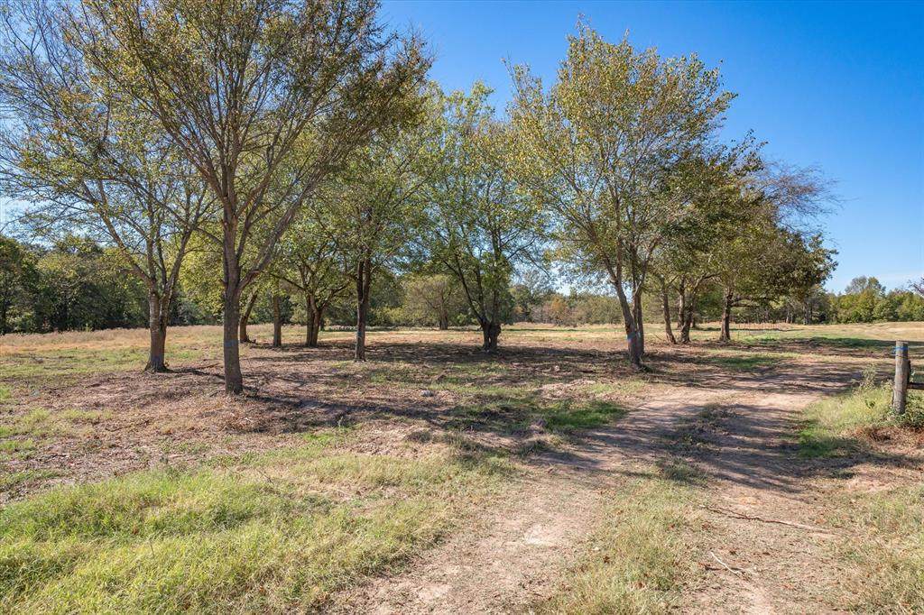 000 TBD Fm 1255 - Photo 1