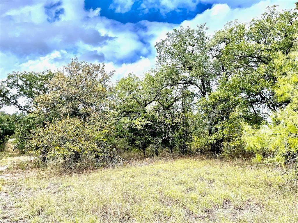 Lot 39 Kilkenny Road - Photo 1