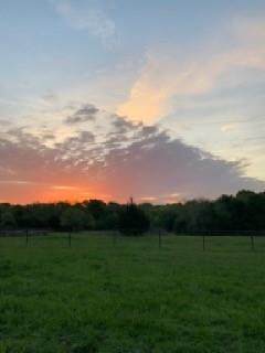 4400 Blue Ridge Frms Road - Photo 1